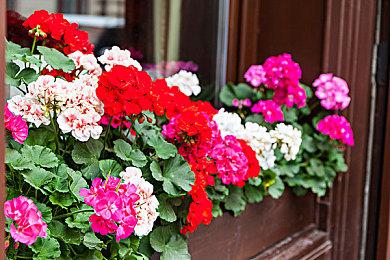 《吸血鬼：避世血族2》有望在2025年上半年发售 但续集或将外包